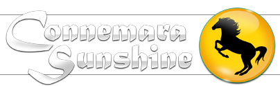 Connemara Sunshine