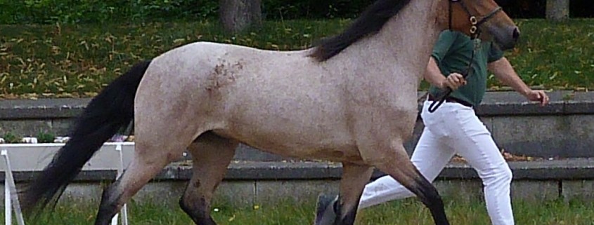 P1470033